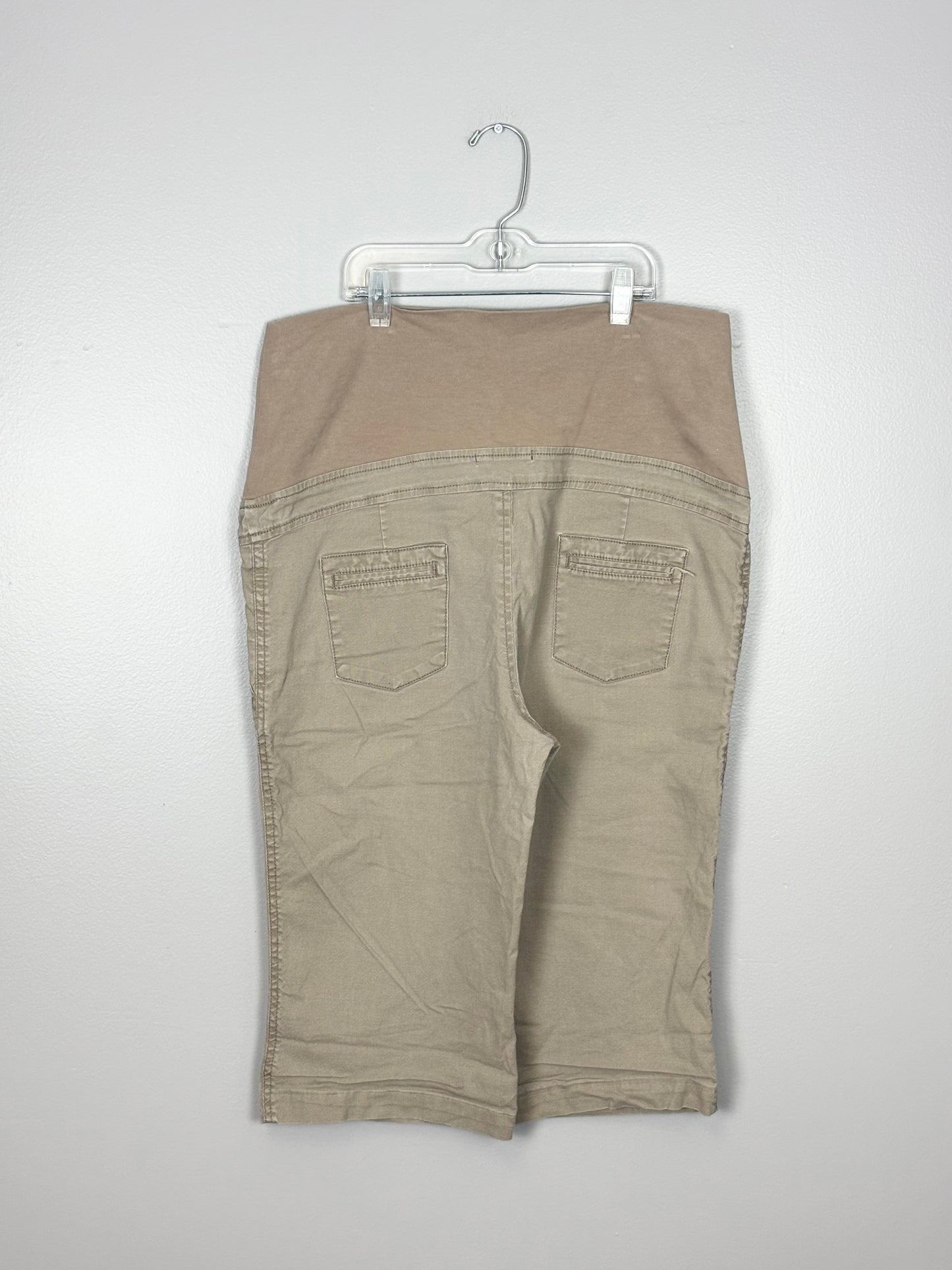 L - Thyme Taupe Capri