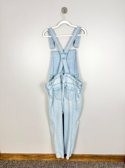 XL - Paisley Sky Lightwash Distressed Denim Overalls