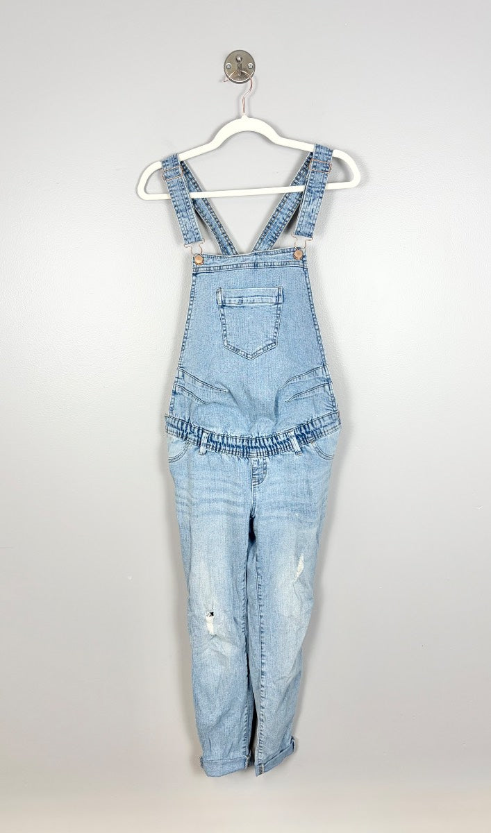 S/6 - Paisley Sky Distressed Denim Overalls