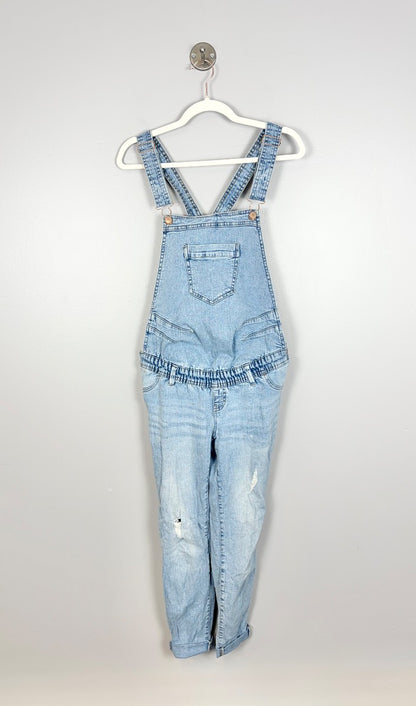 S/6 - Paisley Sky Distressed Denim Overalls