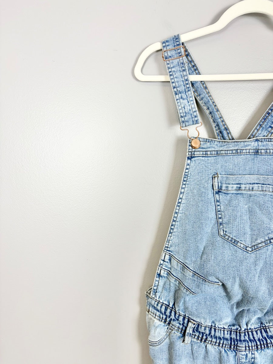 S/6 - Paisley Sky Distressed Denim Overalls