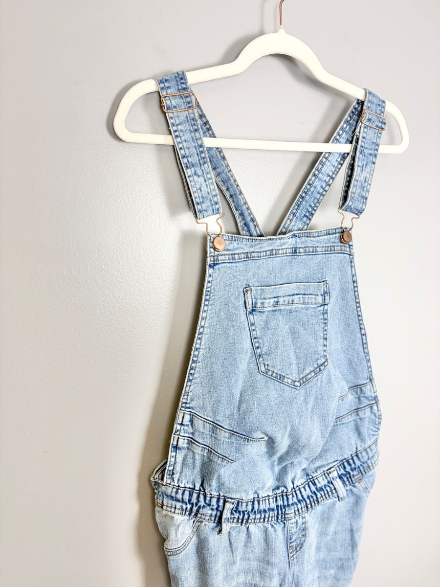 S/6 - Paisley Sky Distressed Denim Overalls